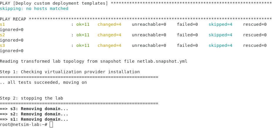 Netsim test output